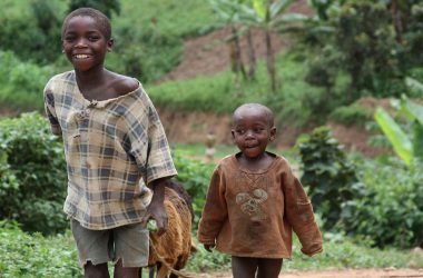 790a3b86705480a5aefef21a7531e63aa3619ef9