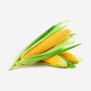 Dry-Sweet-Corn