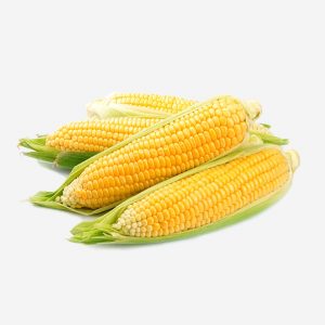 Sweet-Corn1